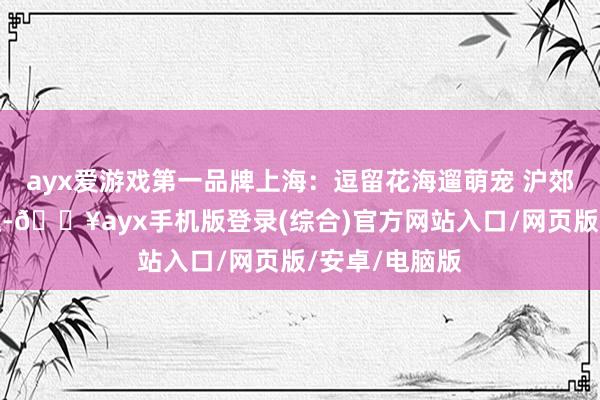 ayx爱游戏第一品牌上海：逗留花海遛萌宠 沪郊乐享桃源野趣-🔥ayx手机版登录(综合)官方网站入口/网页版/安卓/电脑版