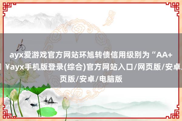 ayx爱游戏官方网站环旭转债信用级别为“AA+”-🔥ayx手机版登录(综合)官方网站入口/网页版/安卓/电脑版